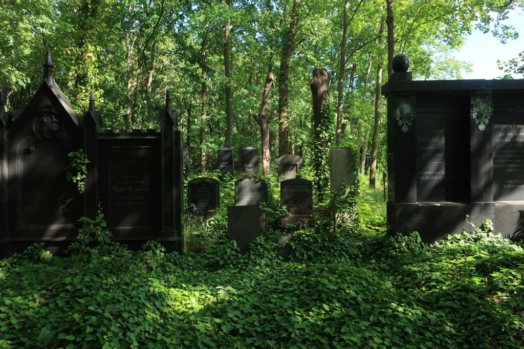 自然を感じ、歴史を考えさせる場所 – ヴァイセンゼー・ユダヤ人墓地 –